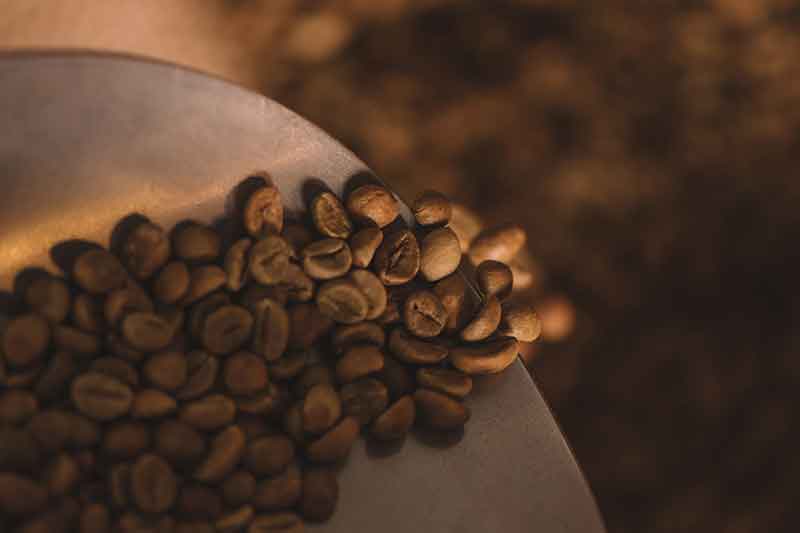 Bønne Guide: En guide til forskellige typer kaffebønner og deres unikke smagsprofiler.