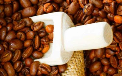 Grundlæggende om Kaffe Ristning: En introduktion til kunsten at riste kaffebønner.