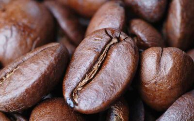 Kaffe Kvalitet: Hvordan man kan bedømme kvaliteten af kaffe og kaffebønner.