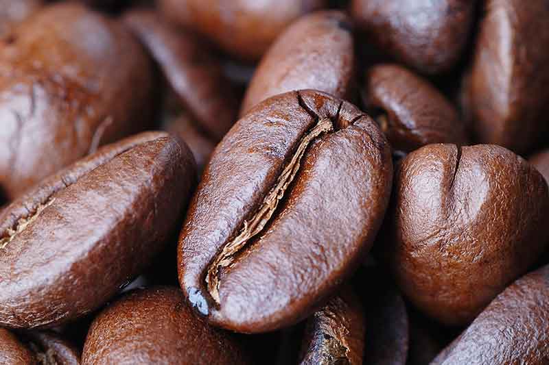 Kaffe Kvalitet: Hvordan man kan bedømme kvaliteten af kaffe og kaffebønner.